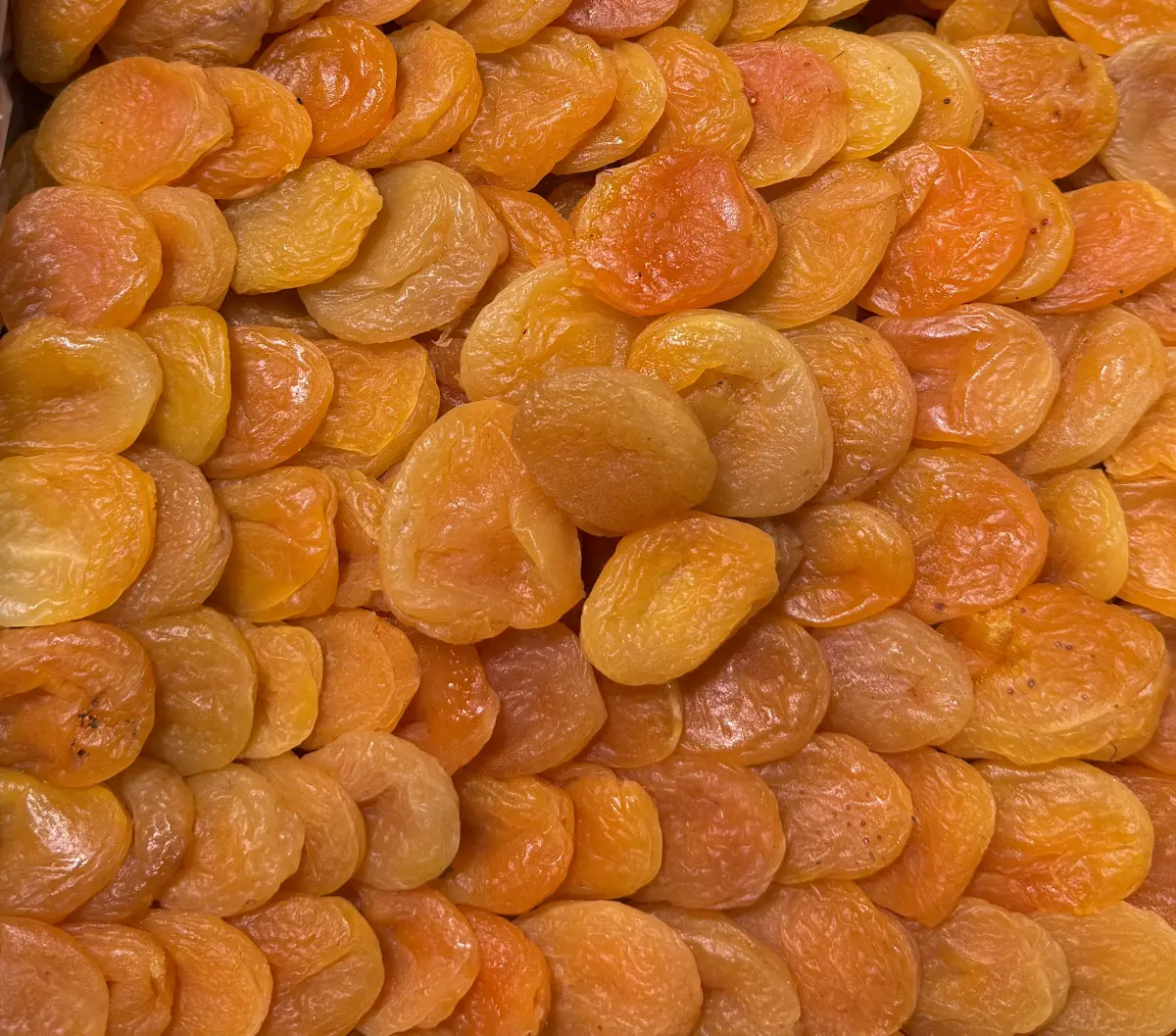قەیسی چەرەس