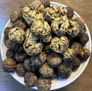 گوێزی سینی یونان
