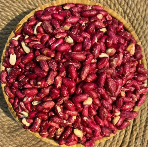 علی بابای سوور