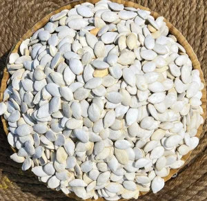 کولەکەی سپی(١١) مل