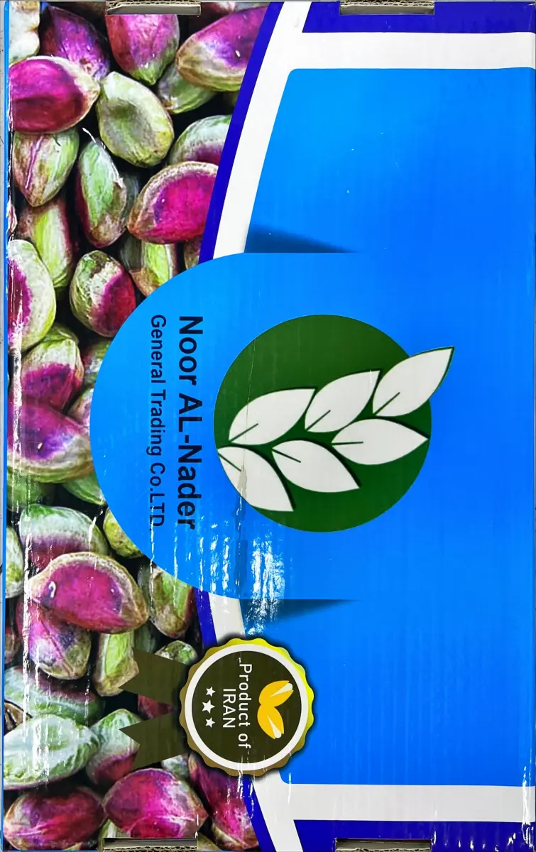 ناوکە فستەقی قەزوینی