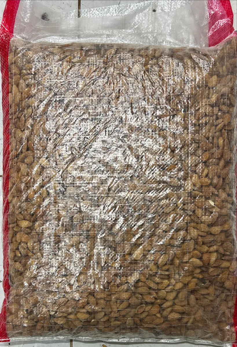 بادامی برژاو 