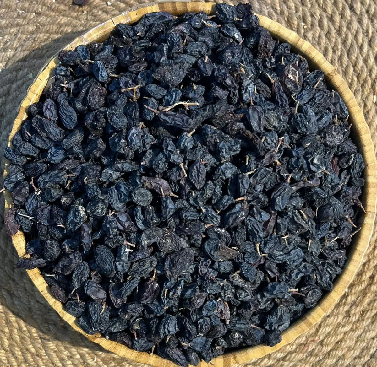 مێوژی ئۆزبەکی قونچک دار