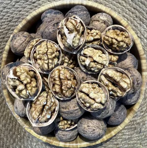 جوز صيني قياس ١٨٥