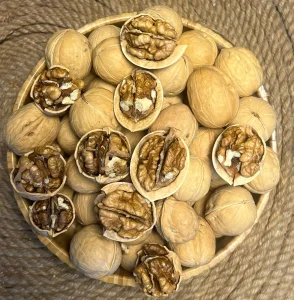 گوێزی سینی شۆراوە 
